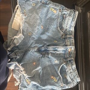 Embroidered Blue Denim Shorts